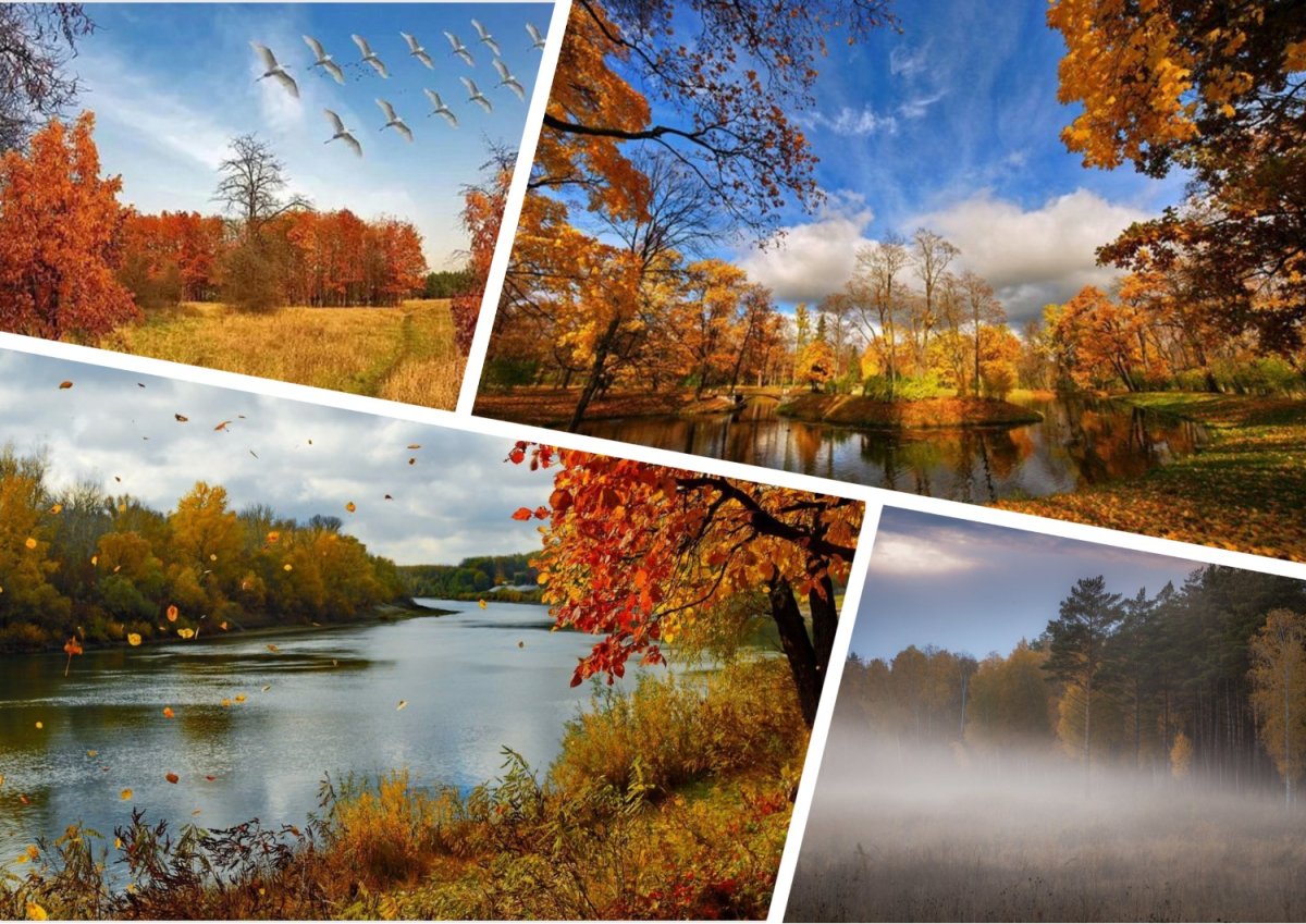 Уж небо осенью дышало... Книга