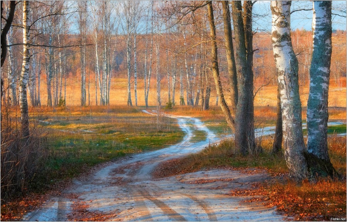 Билибин ночь на берегу