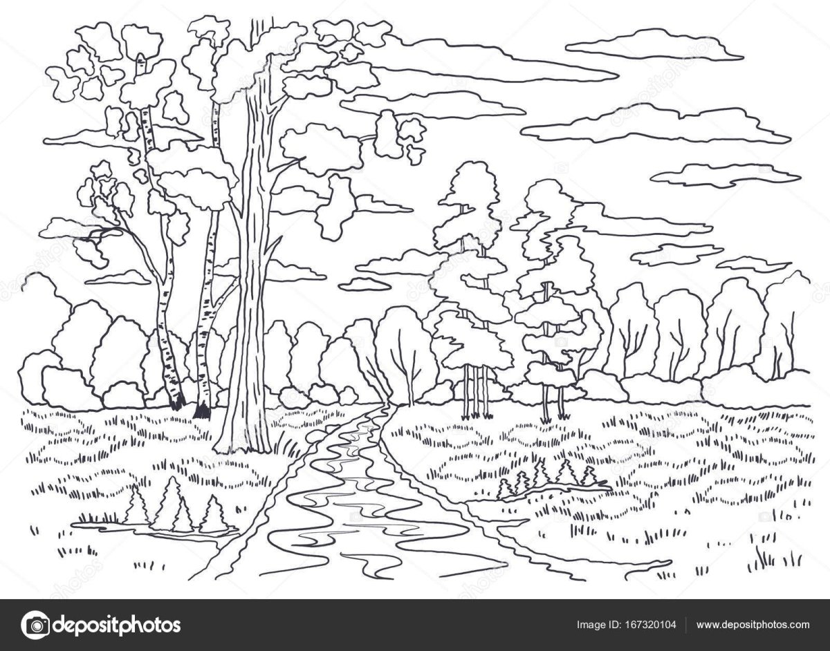 Билибин зарисовки леса