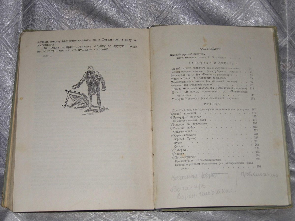Пошехонская старина (Салтыков-Щедрин м. е., 1889