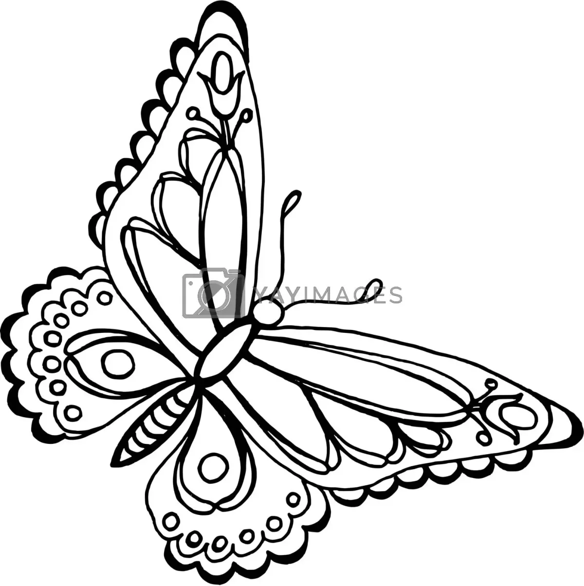 Платонов разноцветная бабочка раскраска