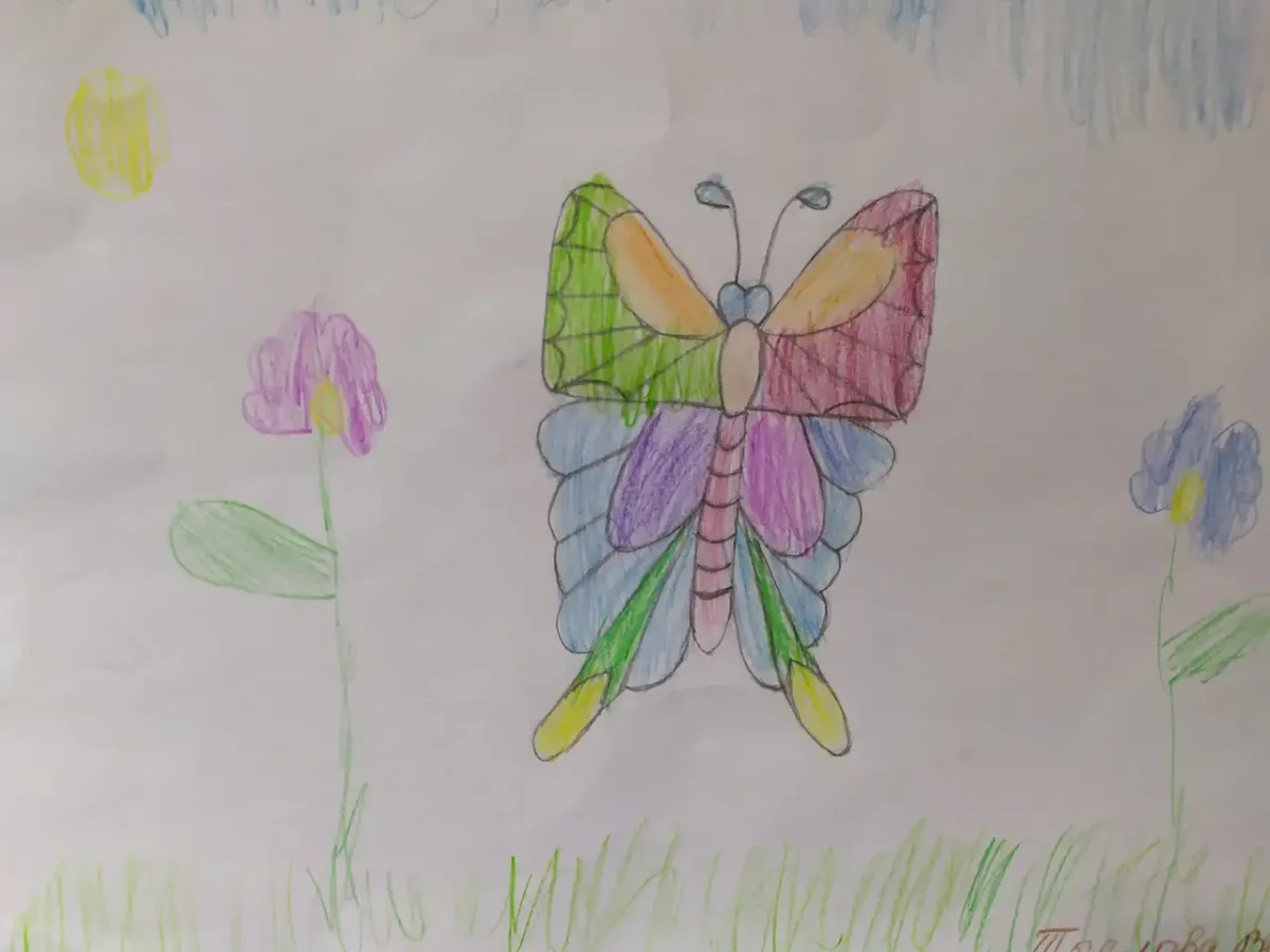 Раскраска "бабочки"