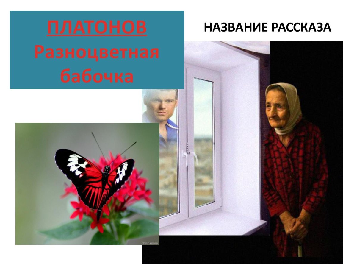 Платонов разноцветная бабочка иллюстрация