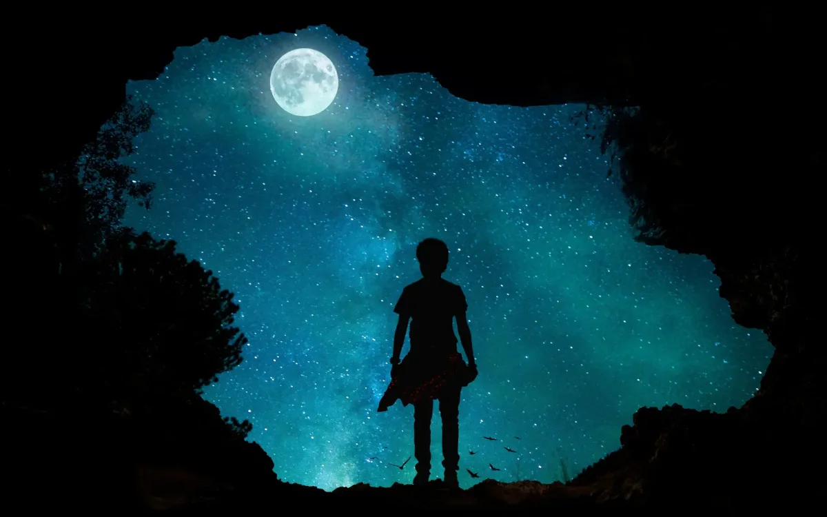 Бабочка красками