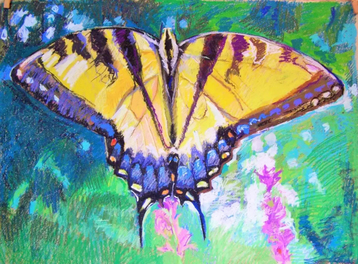 Раскраска "бабочки"