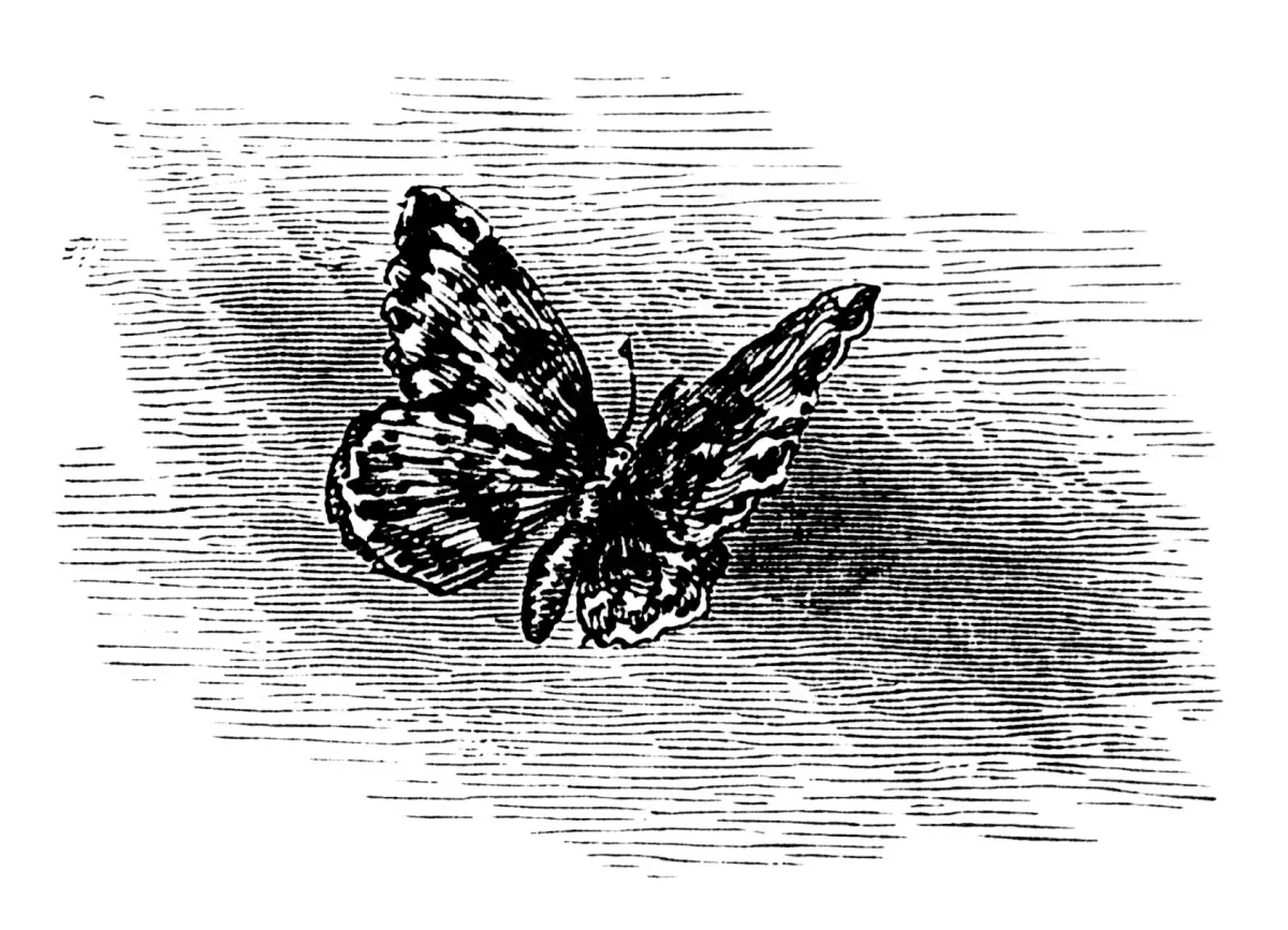 Андрей Платонов разноцветная бабочка