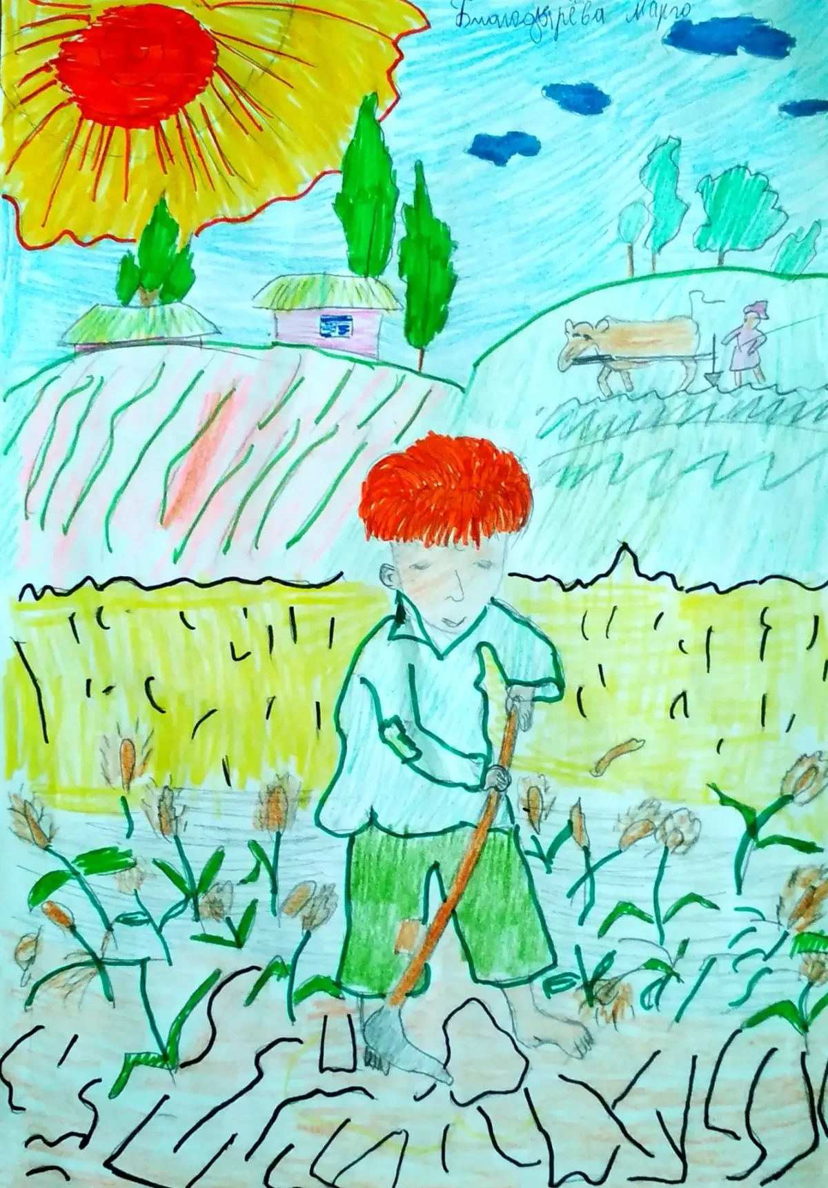 Раскраска бабочек по образцу