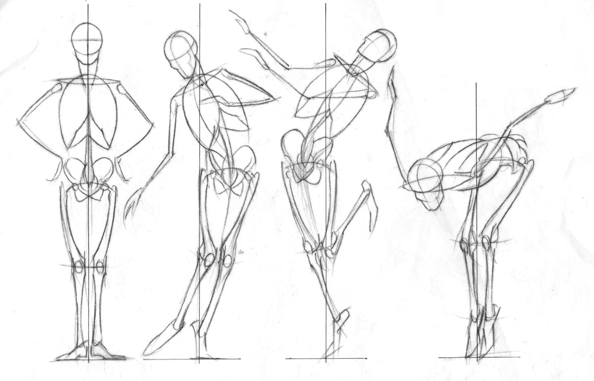 Пропорции человека референс