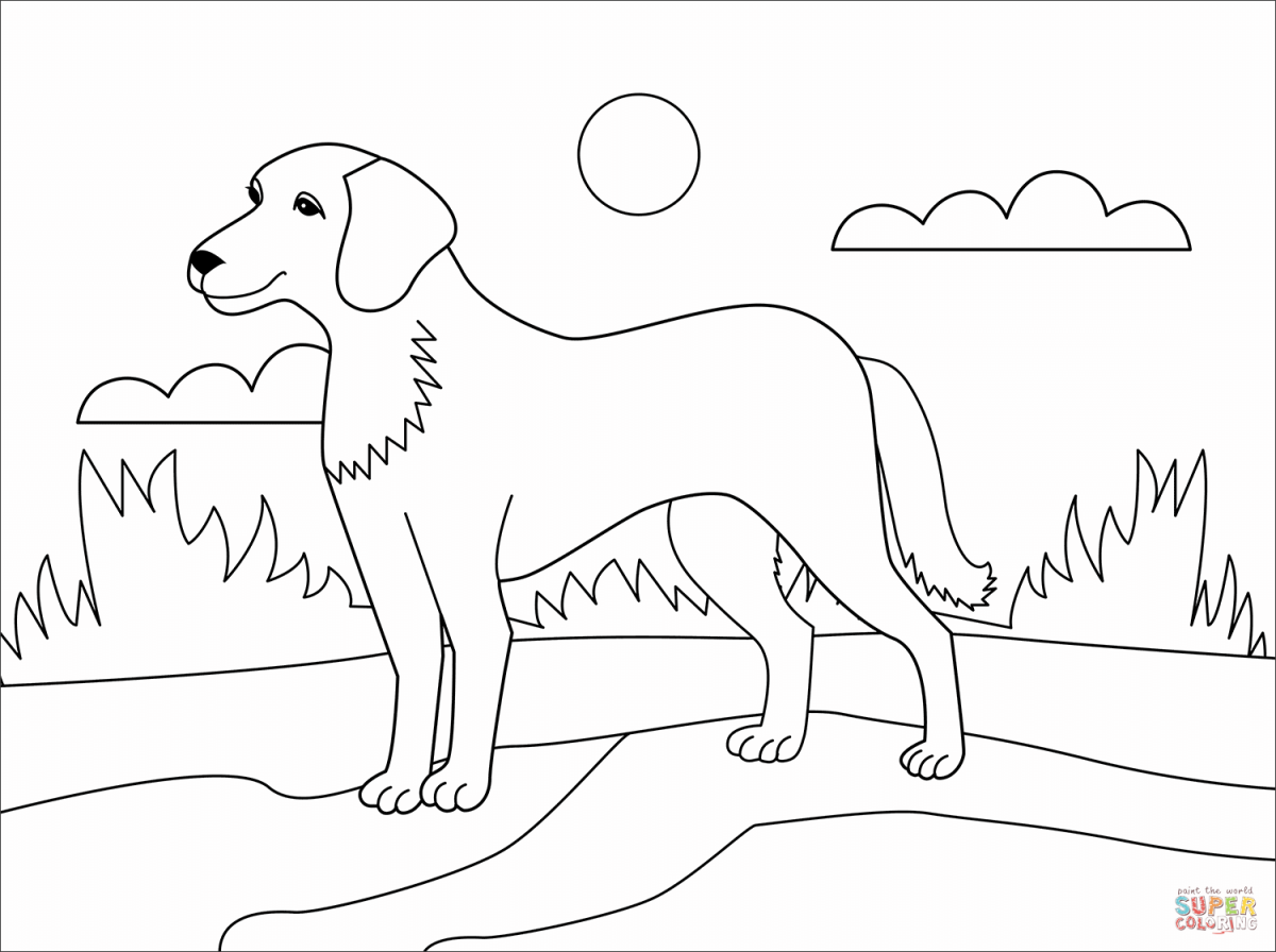 Собака сказка раскраска