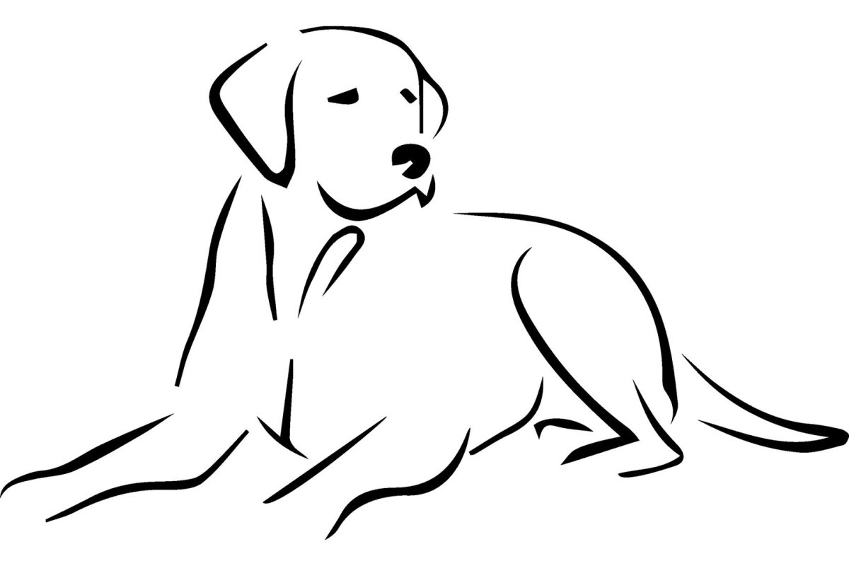 Собака контур