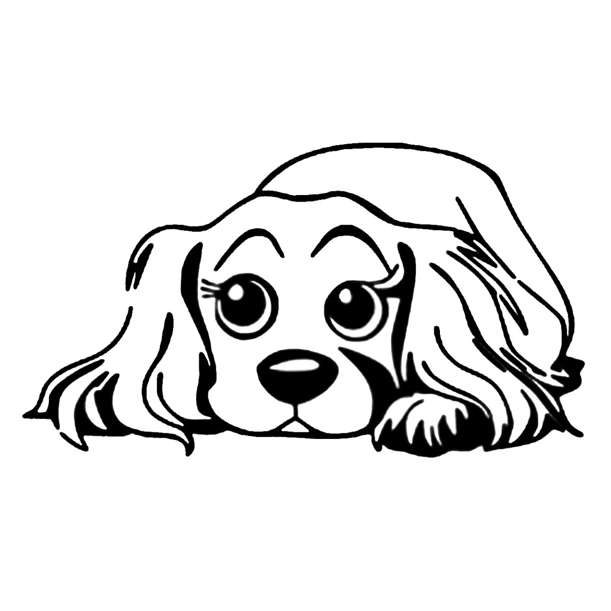 Кавалер Кинг Чарльз спаниель