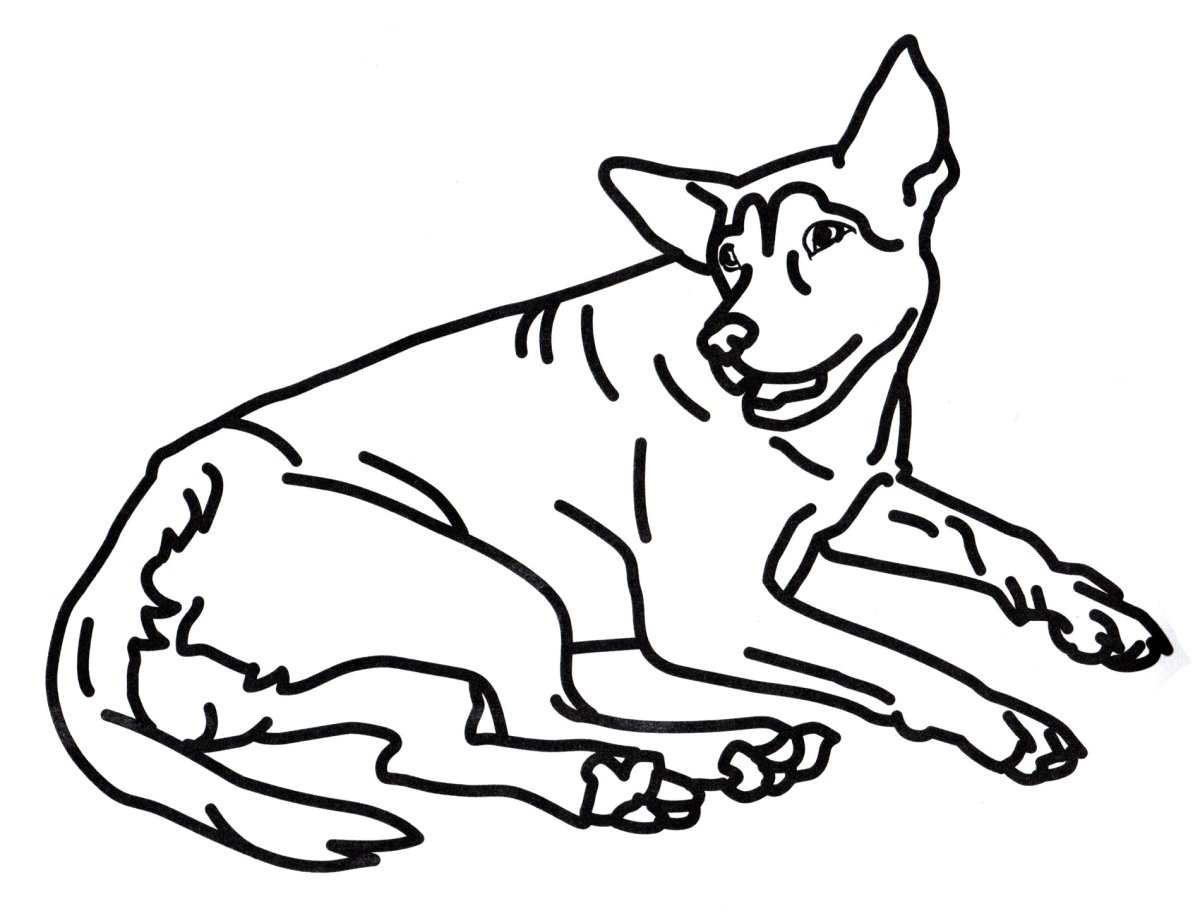 Раскраска пес