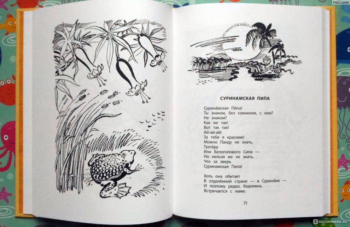 Сказка про доброго носорога Борис Заходер