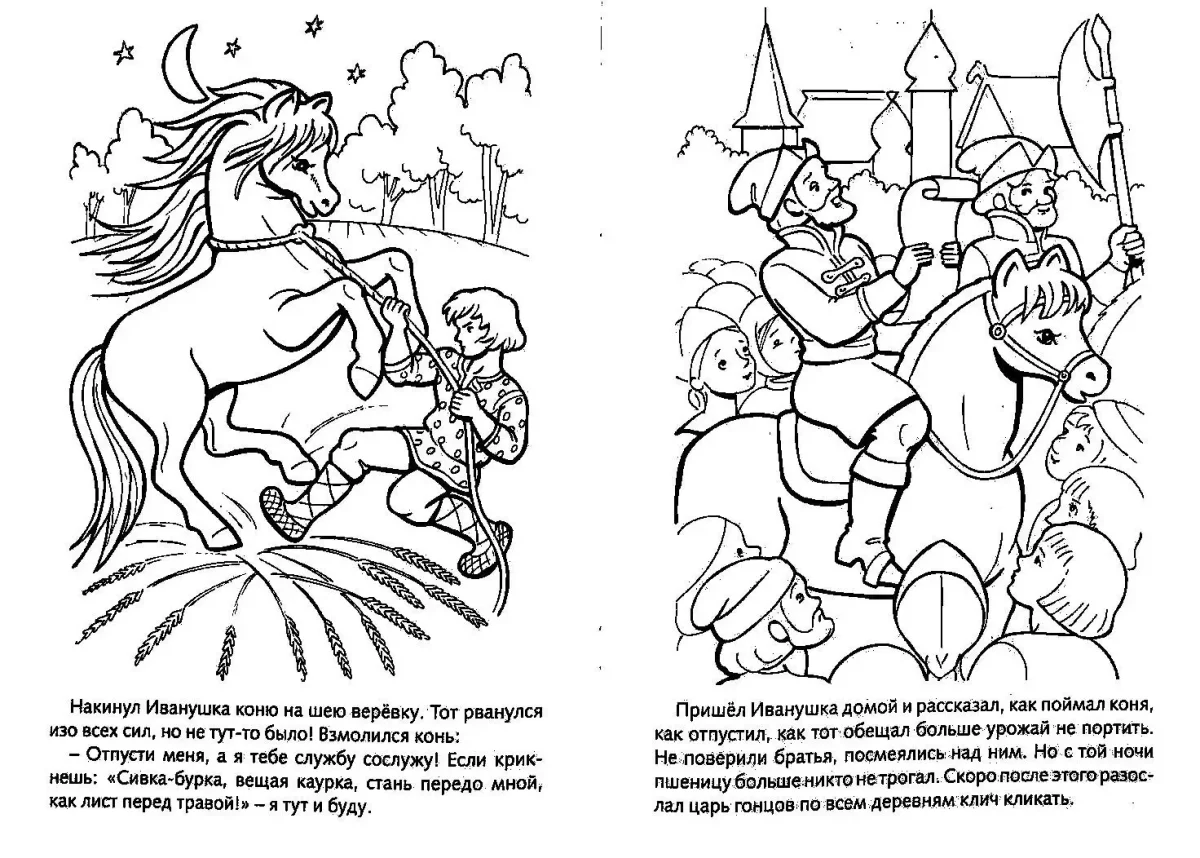 Книжная Графика.кони