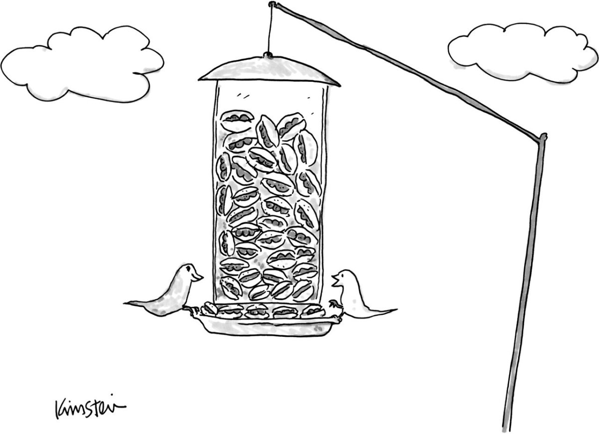 Раскраска кормушки зимой для детей