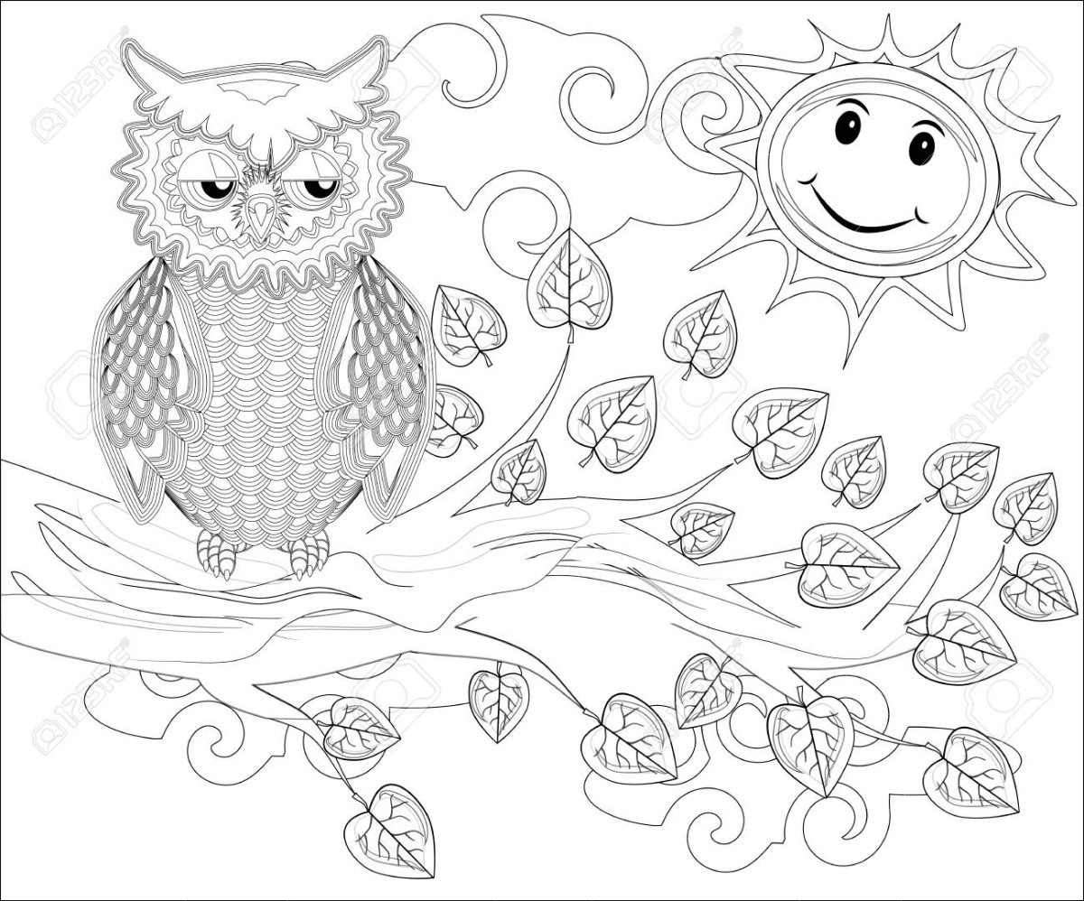 Раскраски наклейки Совушки