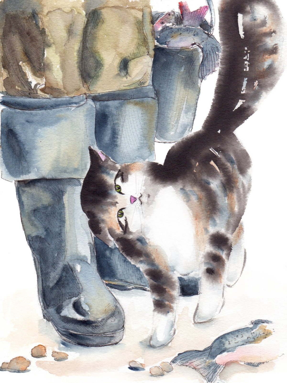 Борис Житков кошка