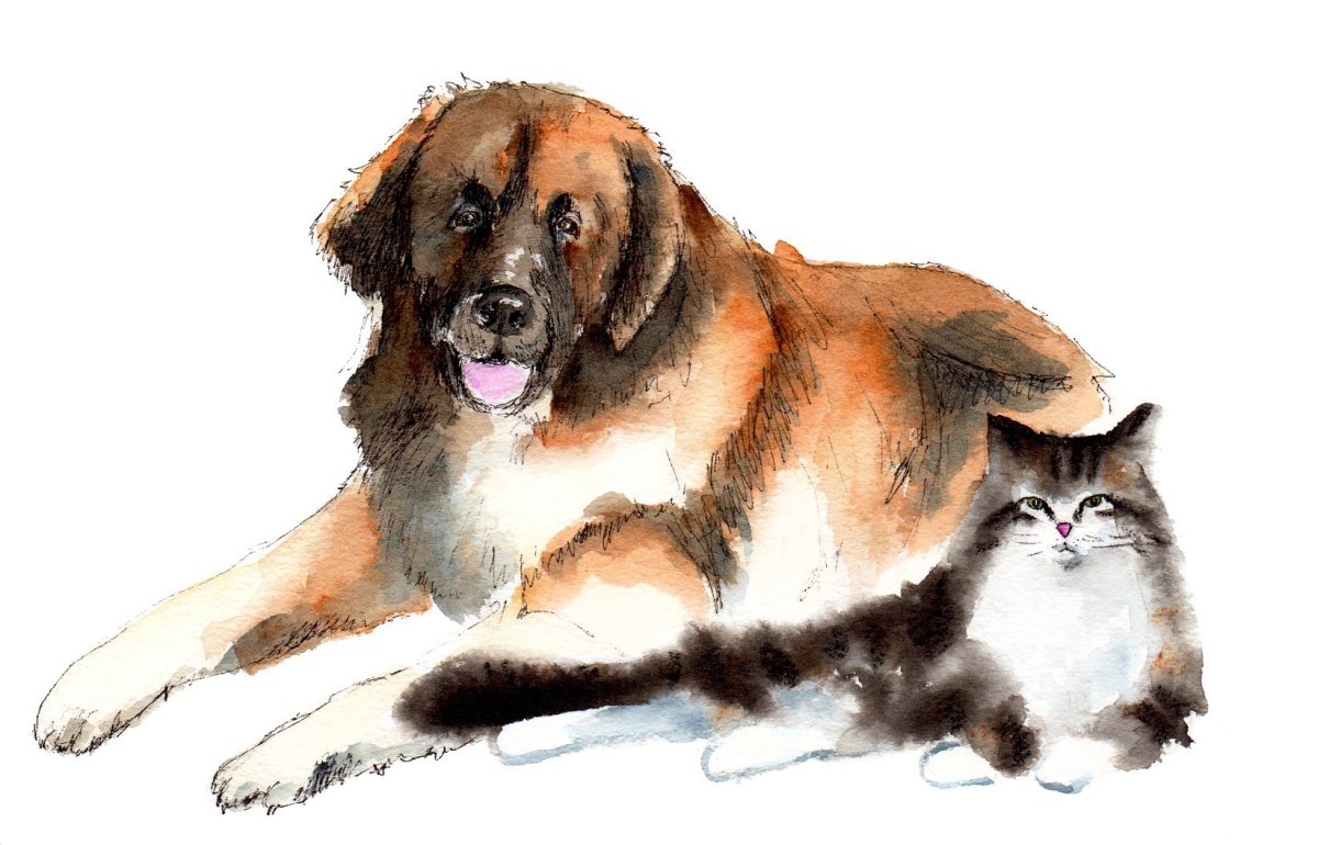 Житков художник иллюстратор