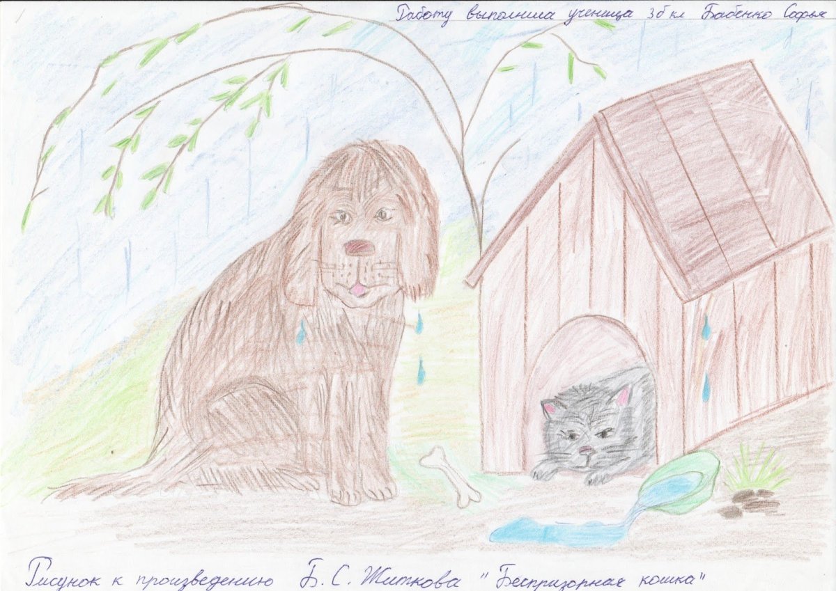 Рассказы б Житкова Беспризорная кошка