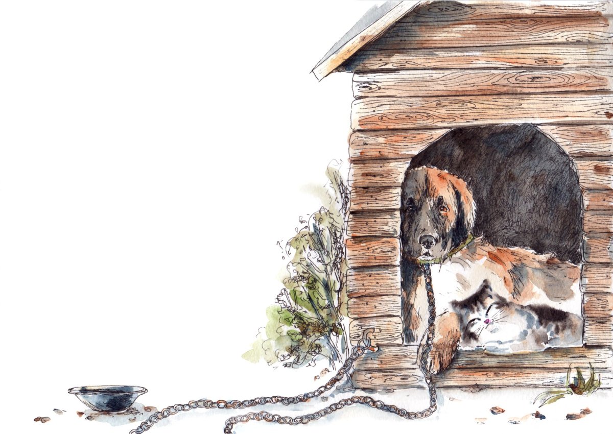 Книга Житков Беспризорная кошка