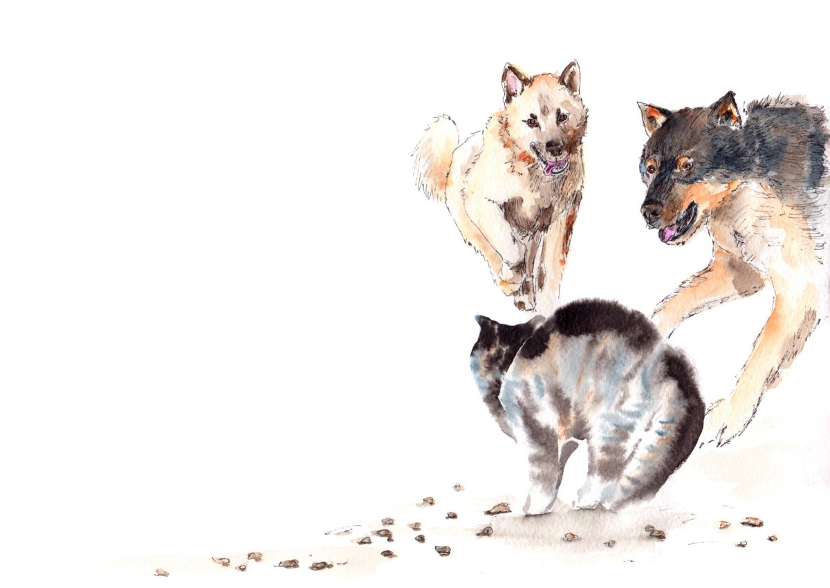 Книга Житков Беспризорная кошка