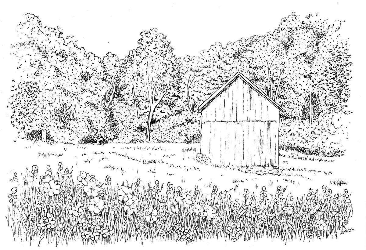 Золотой луг пришвин раскраска