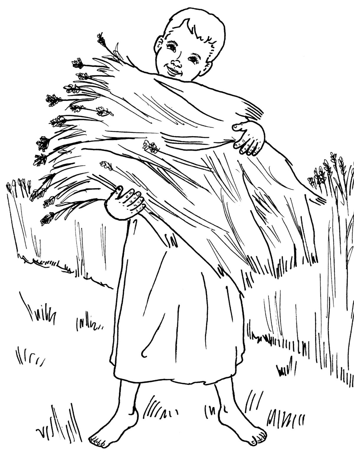 Сенокос раскраска