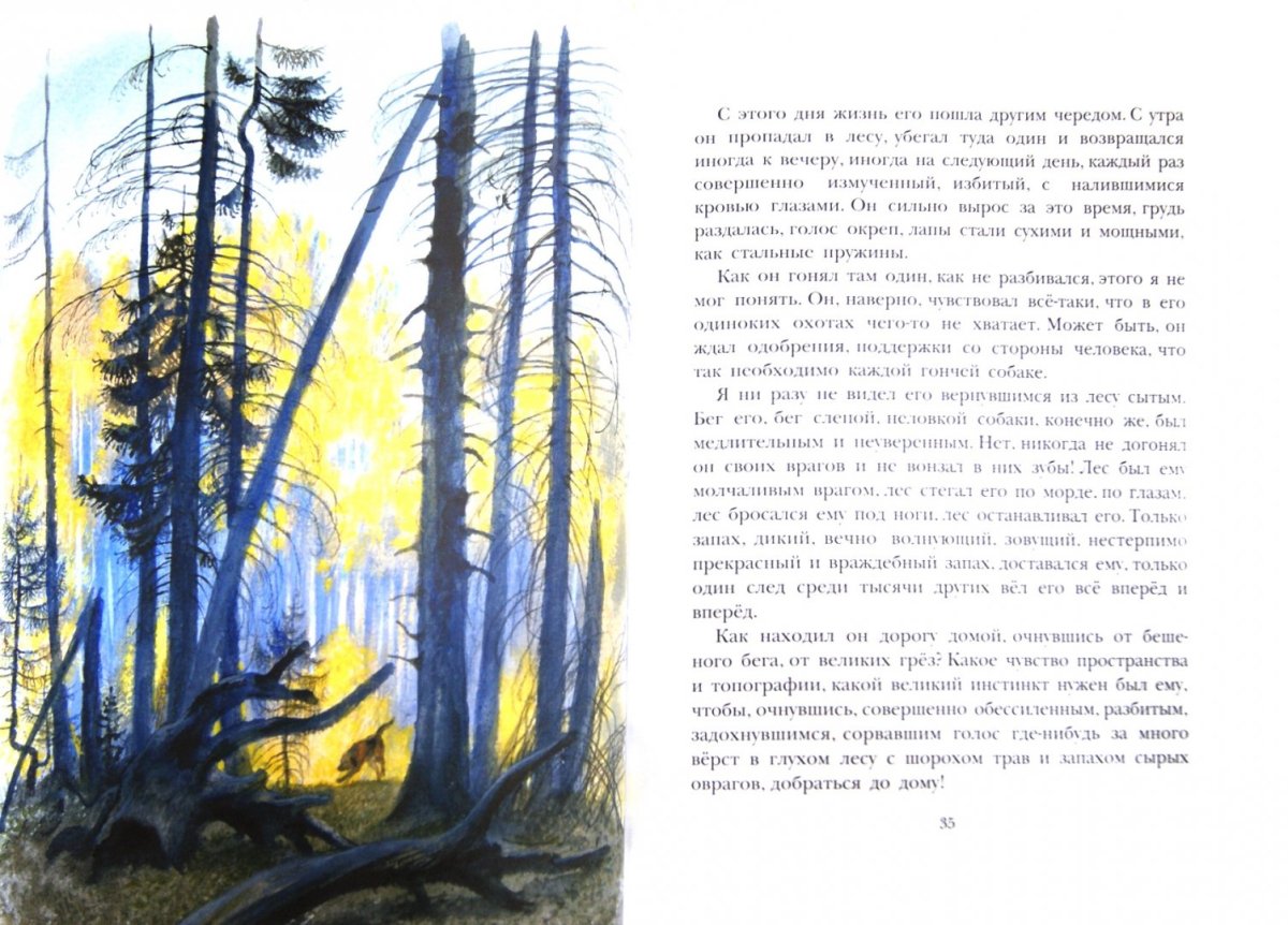 Изложение пёс Арктур