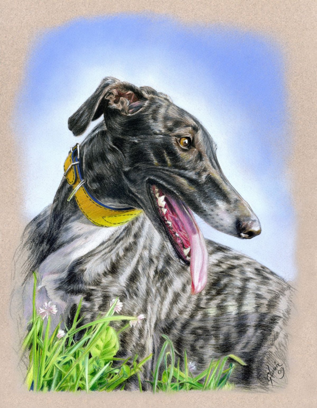 Гончая портрет