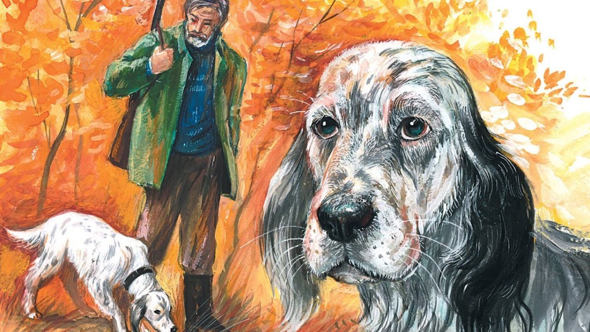 Белый Бим чёрное ухо Гавриил Троепольский