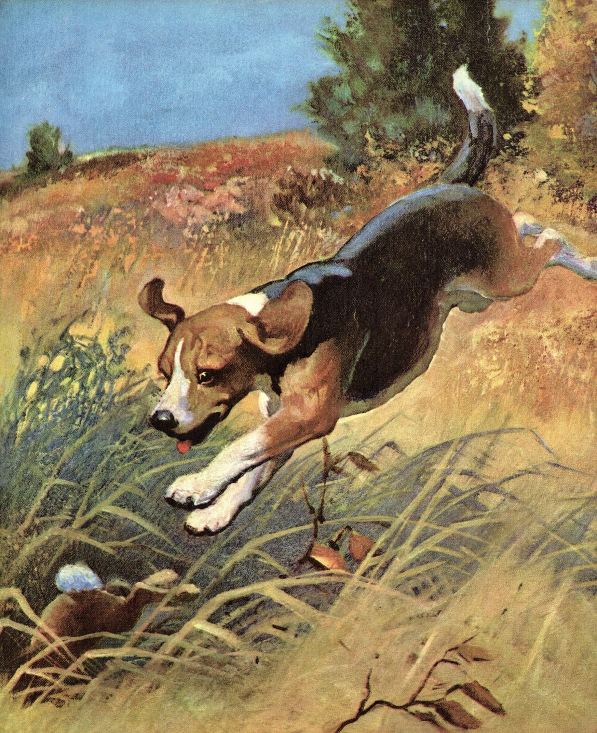 Собака бежит живопись