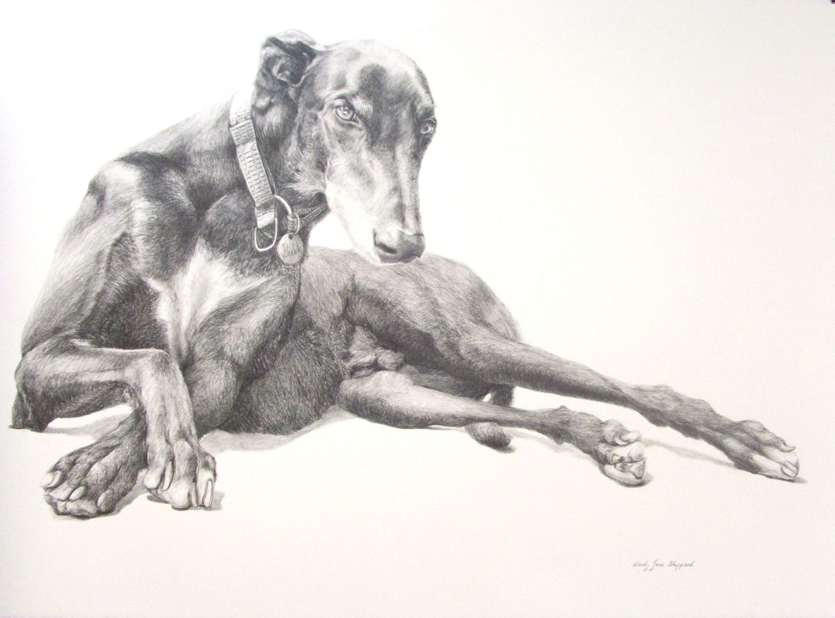 Собака Бигль вектор