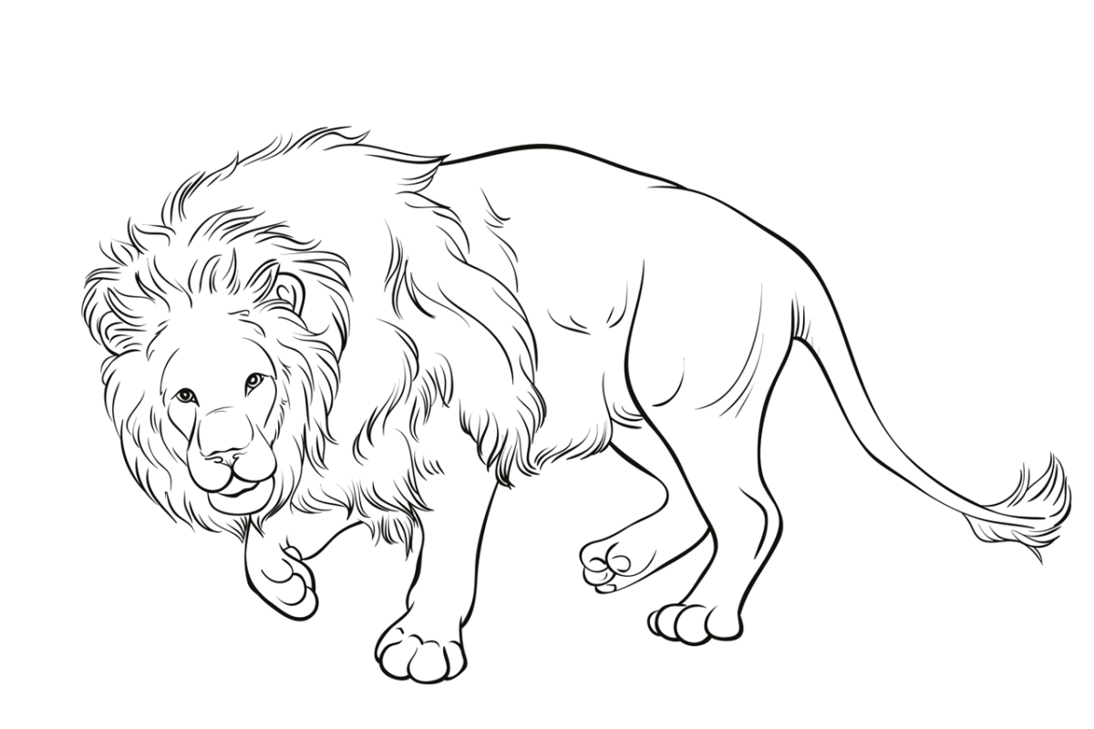 Лев и собачка раскраска для детей