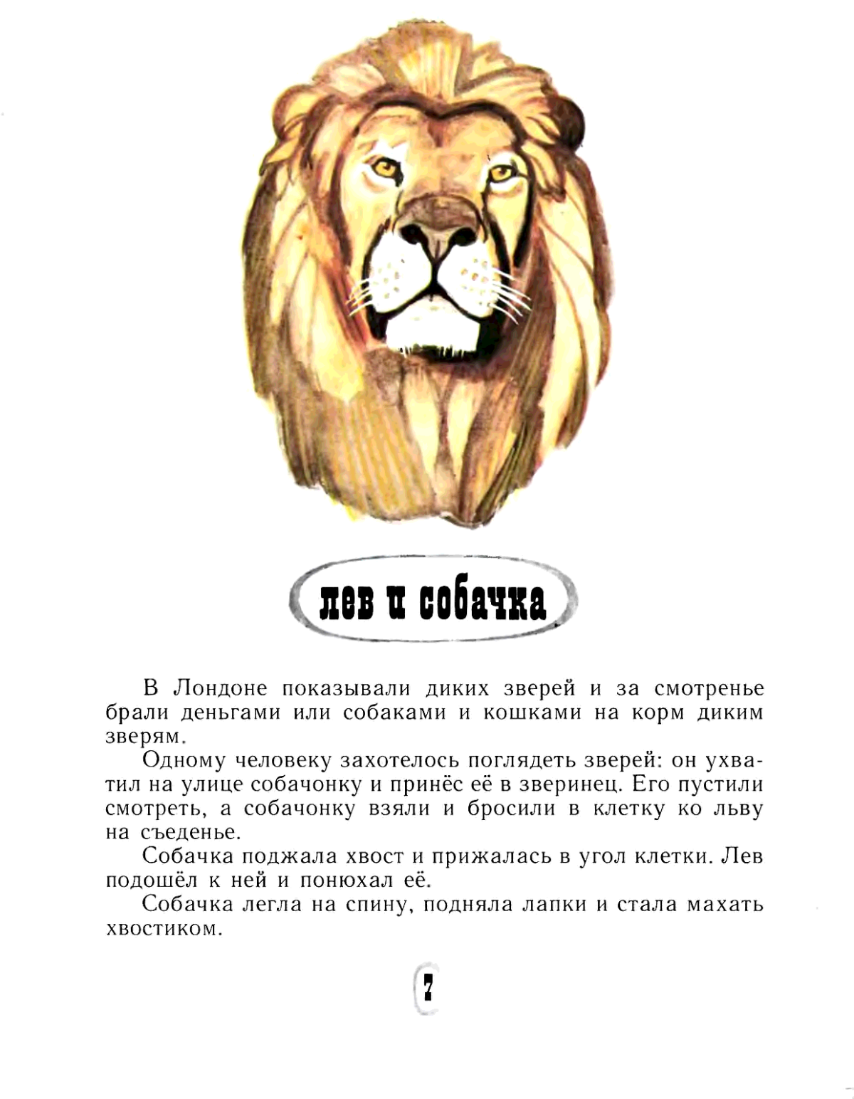 Каждая собака Лев в своем доме рисунок
