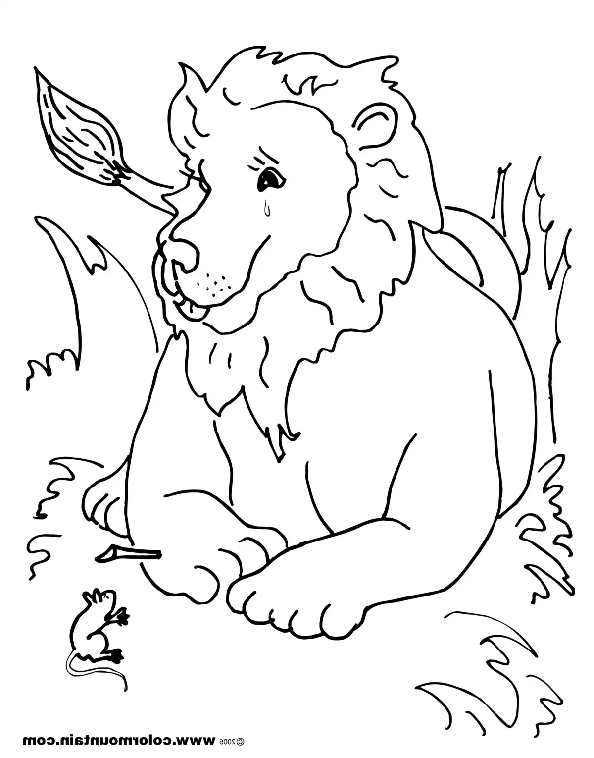 Сказка-раскраска "три медведя"