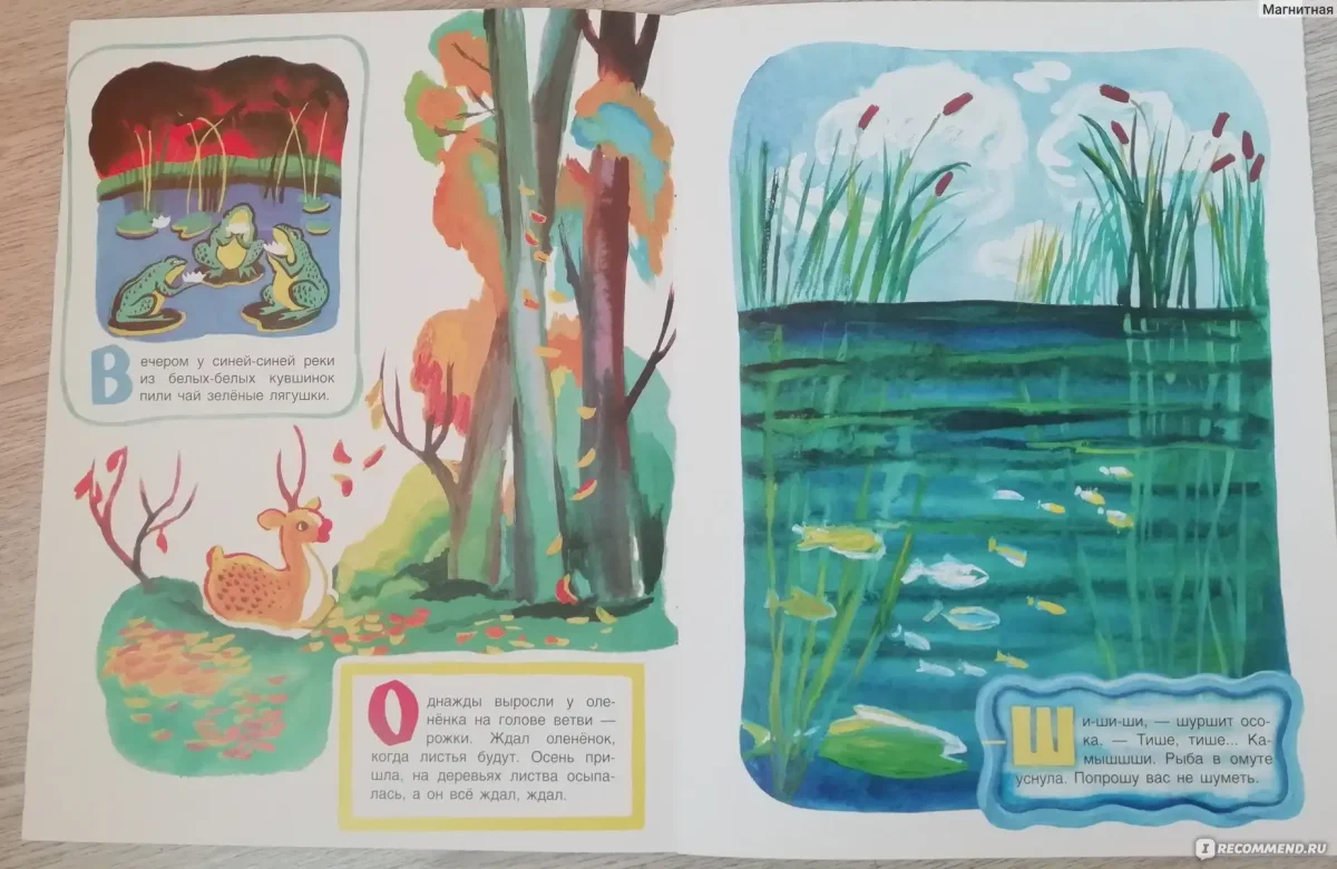 Светлана Борисова художник иллюстратор