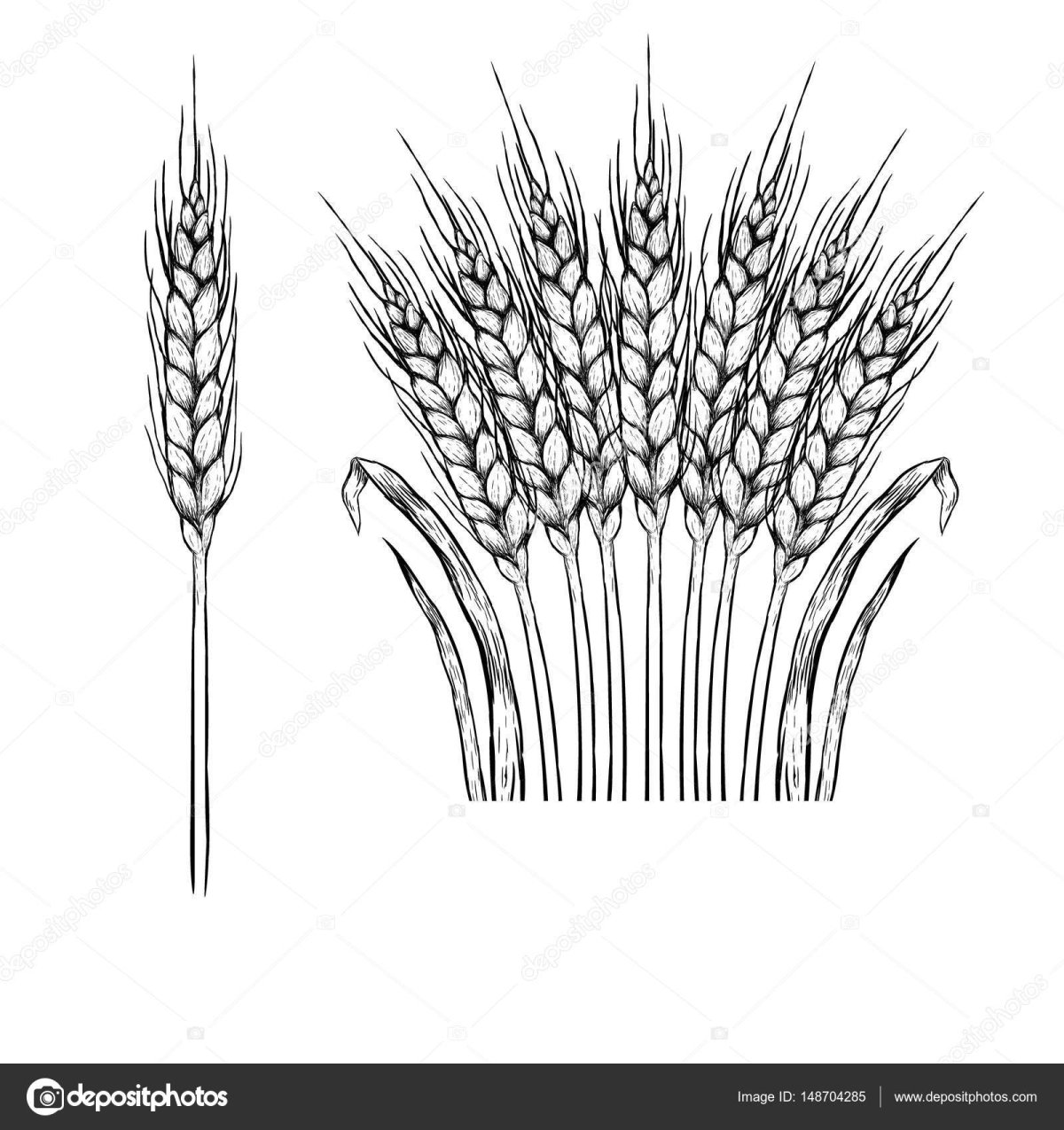 Колосок для вырезания