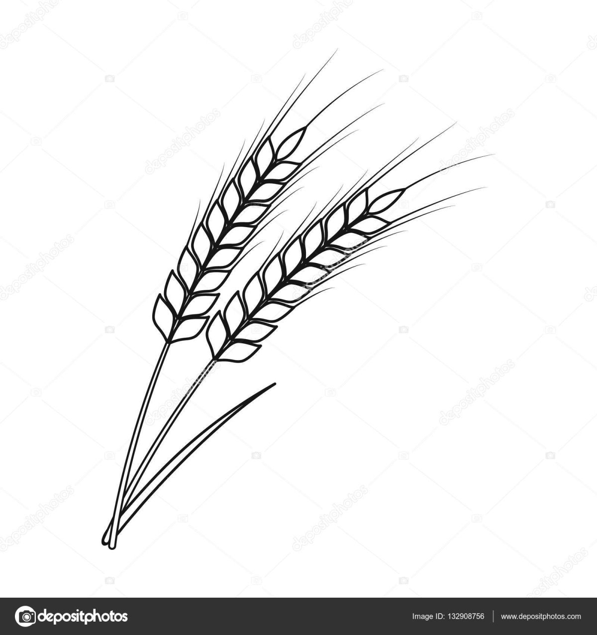 Раскраски колоски и хлеб