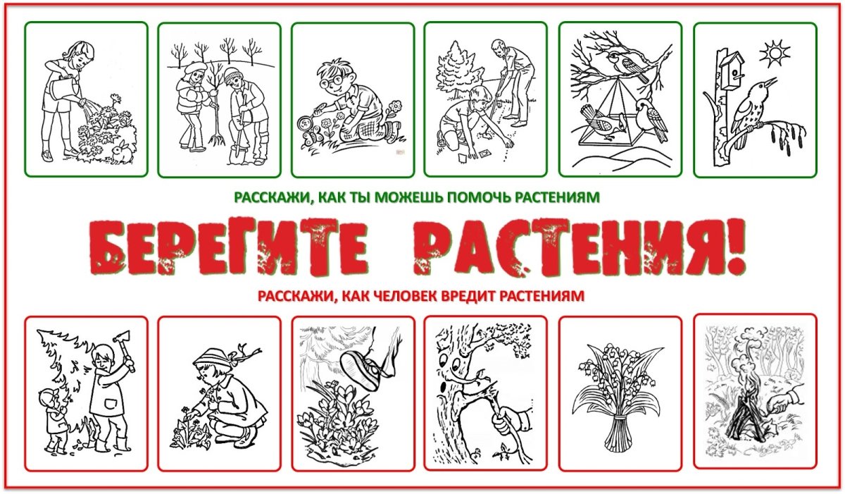 Экология раскраска