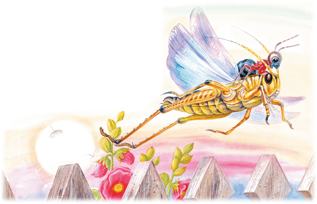 Бианки приключения муравьишки раскраска