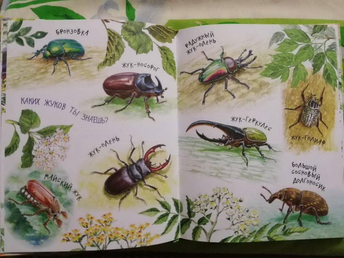 Виталий Бианки приключения муравьишки