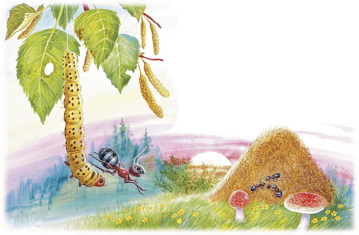 Приключения муравьишки Бианки гусеница листовертка