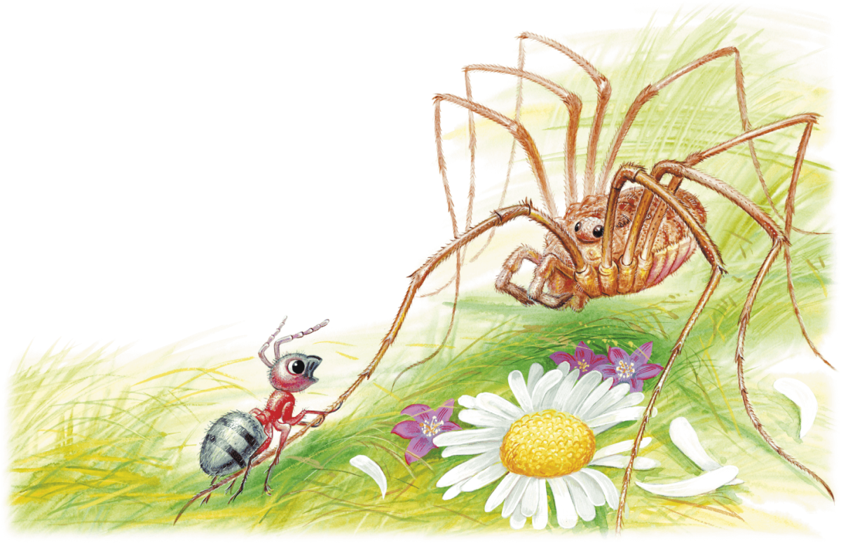 Раскраска муравей с листочком для детей