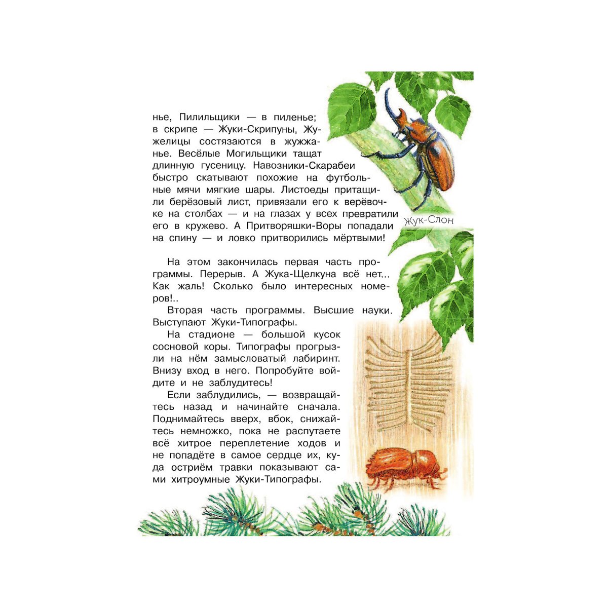 Стрекоза и муравей раскраска