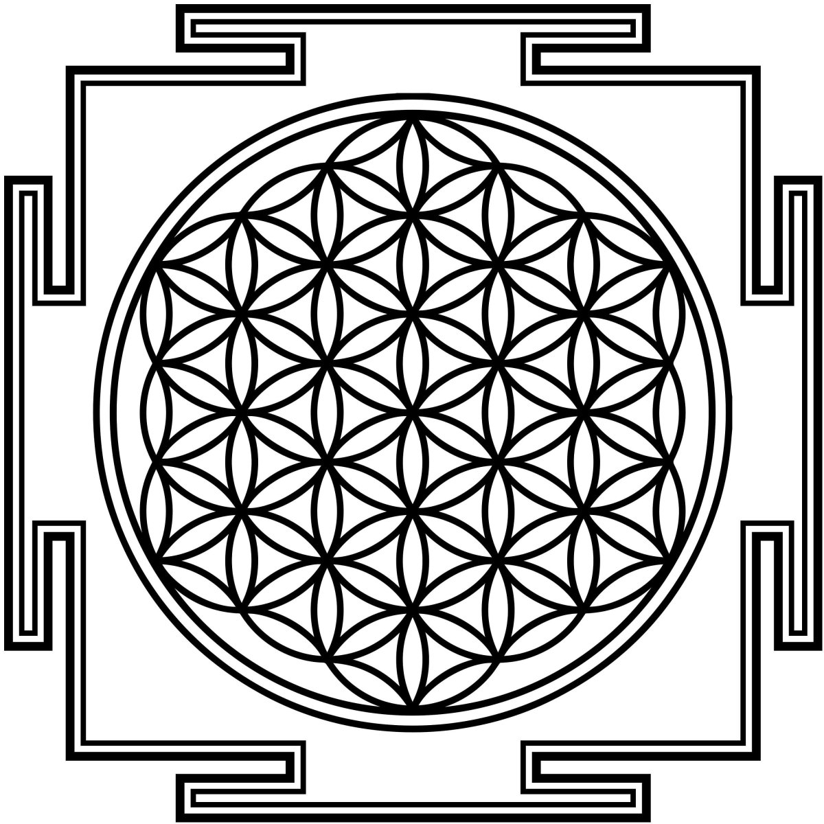 Шри Янтра и цветок жизни