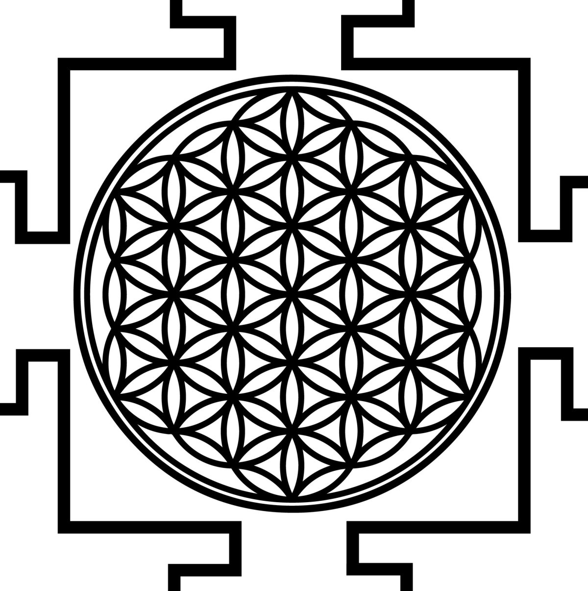 Шри Янтра вектор