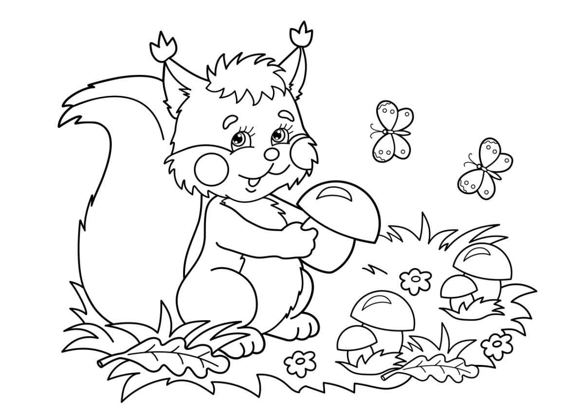 Раскраска белка с бельчатами лесу