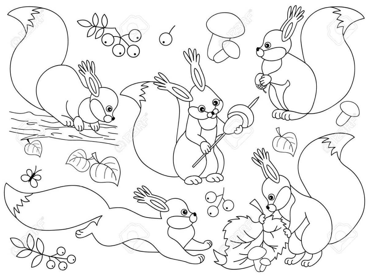 Раскраска белка с бельчатами лесу