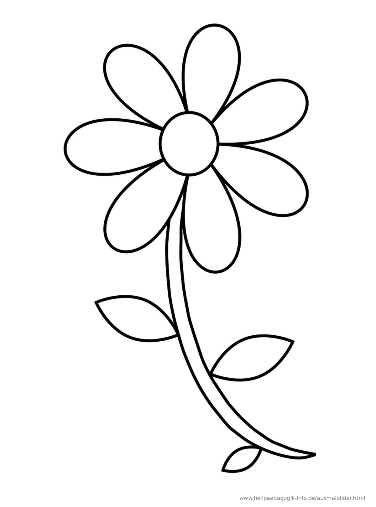 Аленький цветок раскраска