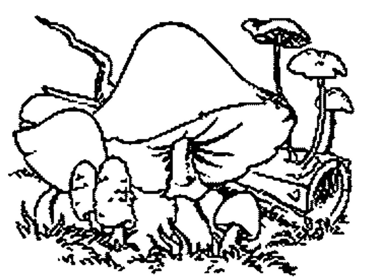 Раскраска девочка с корзинкой в лесу